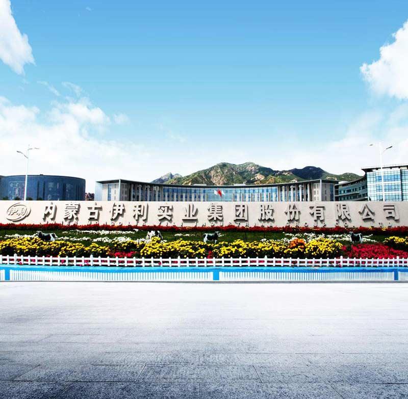 15523594771338652311